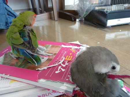 2010-0228-2.JPG
