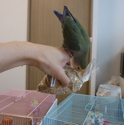 2010-0305-3.JPG