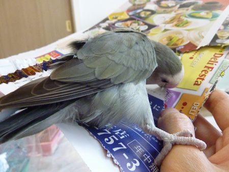 2010-0309-5.JPG