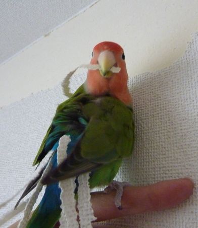 2010-0313-1.JPG