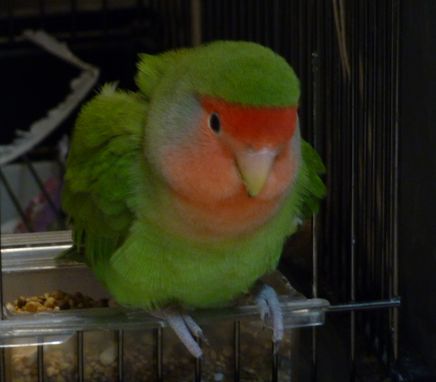 2010-0313-6.JPG
