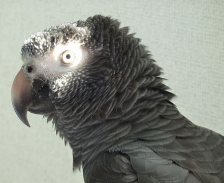 2010-0320-3.JPG
