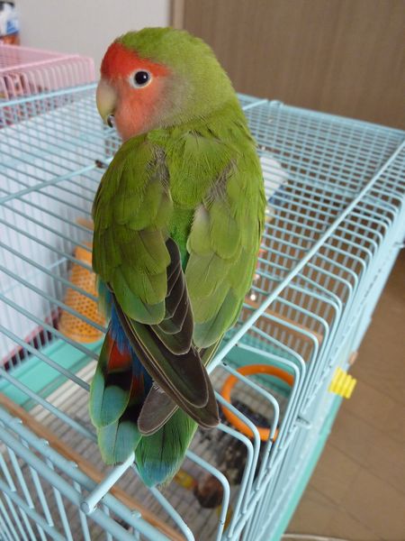 2010-0415-1.JPG