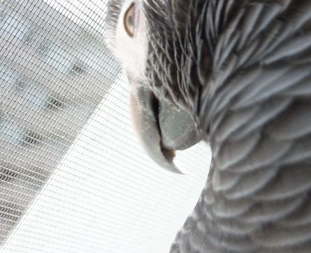 2010-0417-2.JPG