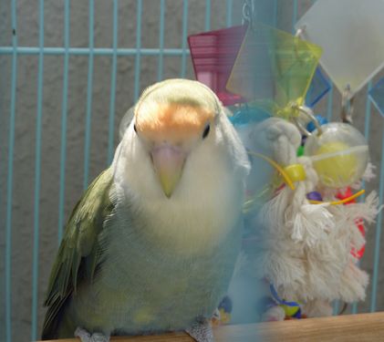 2010-0429-2.JPG