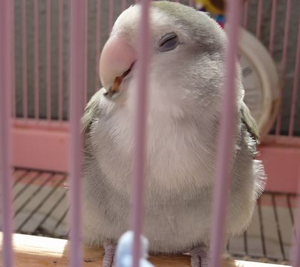 2010-0429-3.JPG