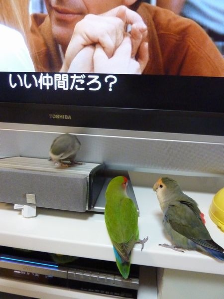 2010-0509-2.JPG