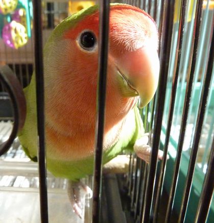 2010-0528-1.JPG