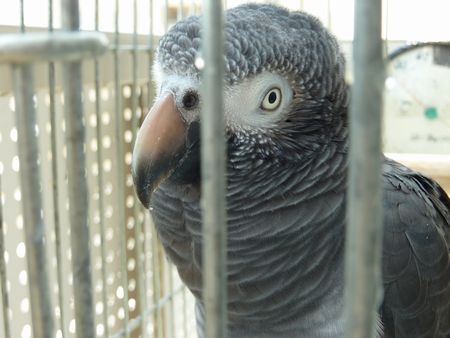 2010-0607-1.JPG