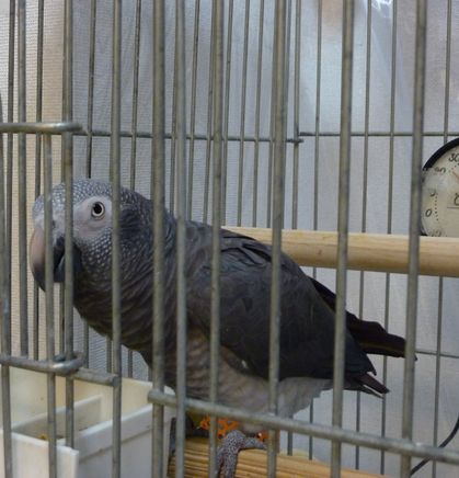 2010-0613-3.JPG