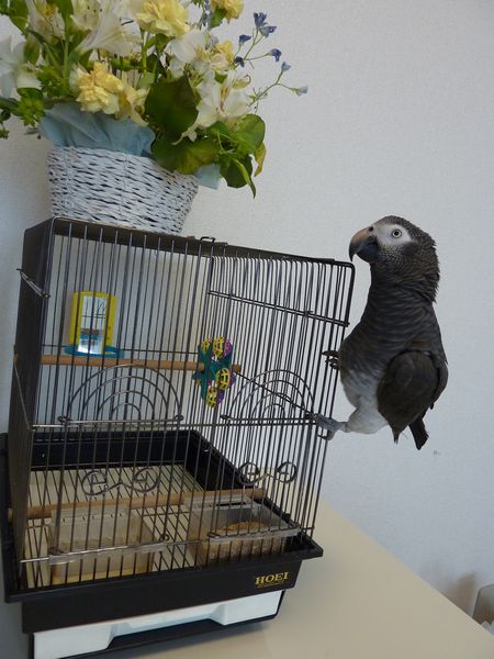 2010-0613-4.JPG