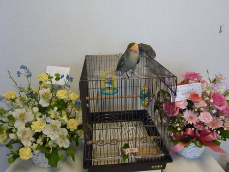 2010-0621-1.JPG