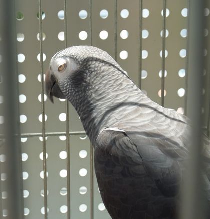 2010-0704-1.JPG