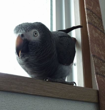 2010-0704-3.JPG