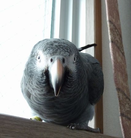 2010-0704-4.JPG