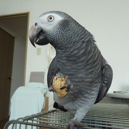 2010-0704-7.JPG