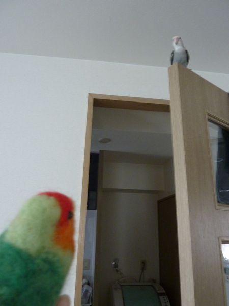 2010-0710-7.JPG