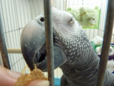 2010-0726-5.JPG