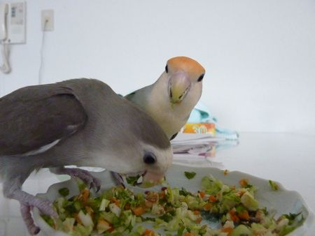 2010-0726-7.JPG