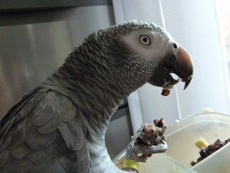 2010-0805-2.JPG
