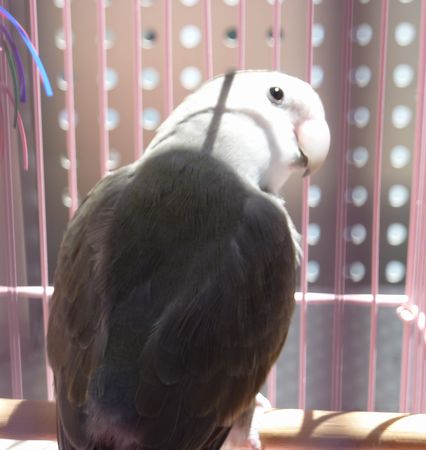 2010-0808-3.JPG