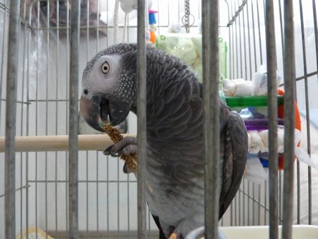 2010-0901-12.JPG