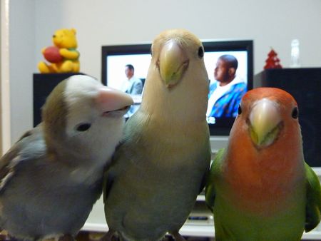 2010-0901-14.JPG
