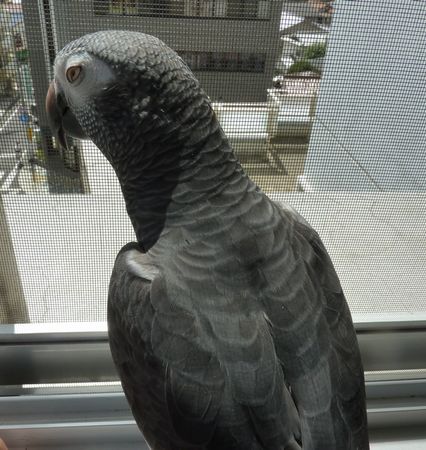 2010-0912-4.JPG