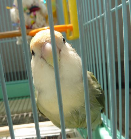 2010-0919-2.JPG