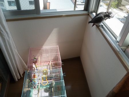 2010-0919-4.JPG