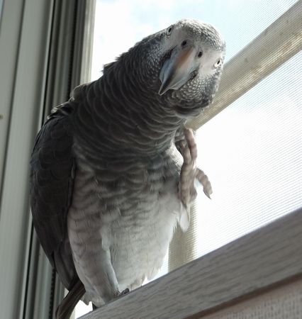 2010-0919-5.JPG