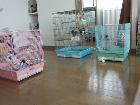 2010-0919-9.JPG