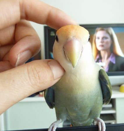 2010-0921-3.JPG