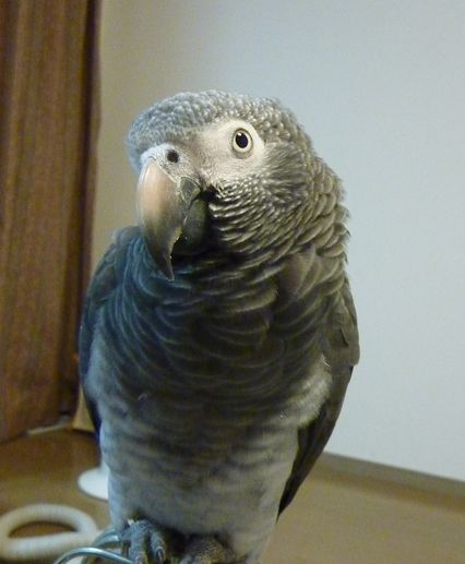 2010-0922-2.JPG