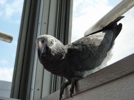 2010-0922-3.JPG