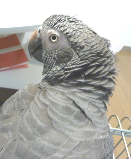 2010-0922-7.JPG