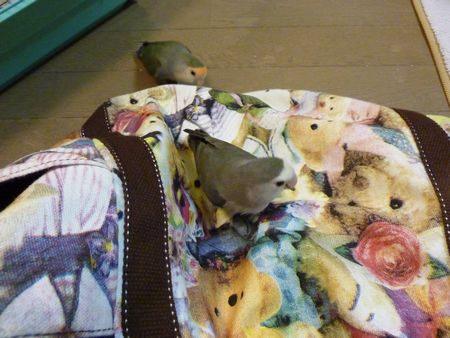 2010-1027-6.JPG