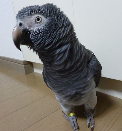 2010-1115-1.JPG