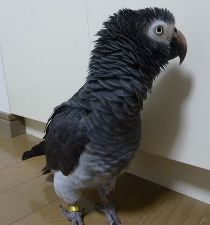 2010-1115-2.JPG