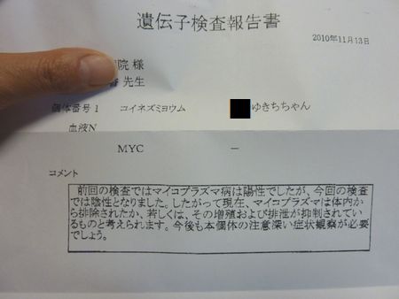 2010-1115-4.JPG
