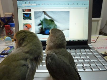 2010-1117-3.JPG
