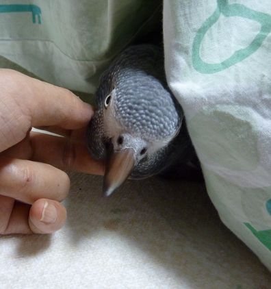 2010-1118-6.JPG