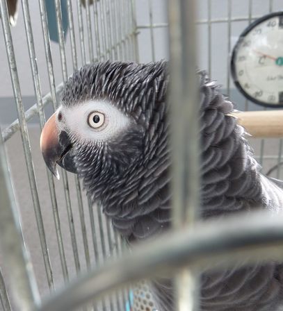 2010-1123-3.JPG
