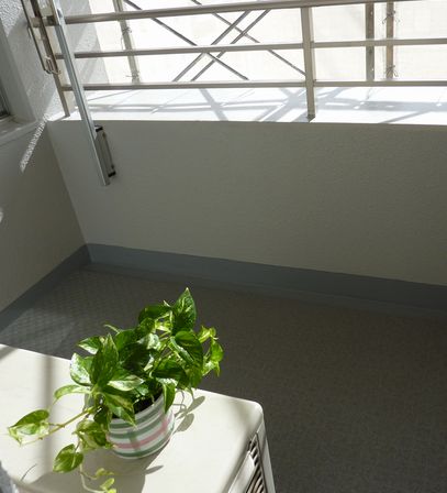 2010-1123-5.JPG