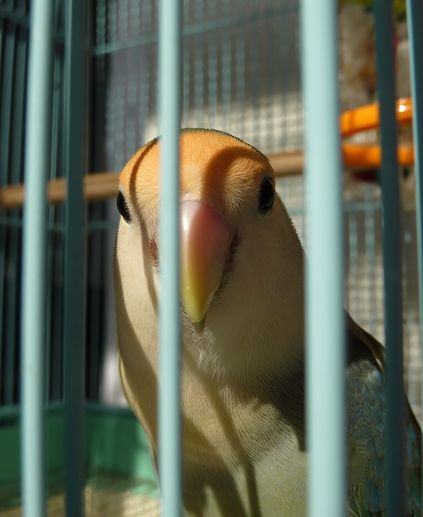 2010-1123-9.JPG
