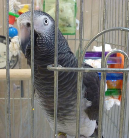 2010-1130-2.JPG