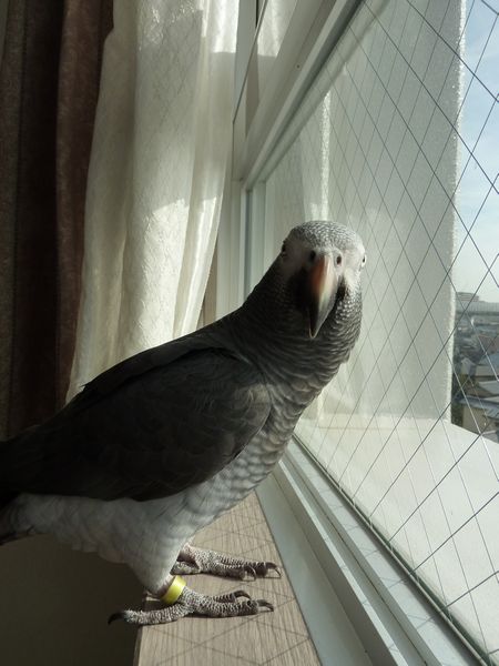2010-1130-6.JPG