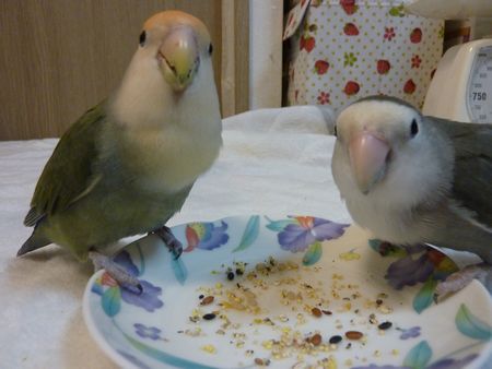 2010-1206-2.JPG