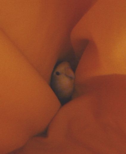 2010-1209-2.JPG