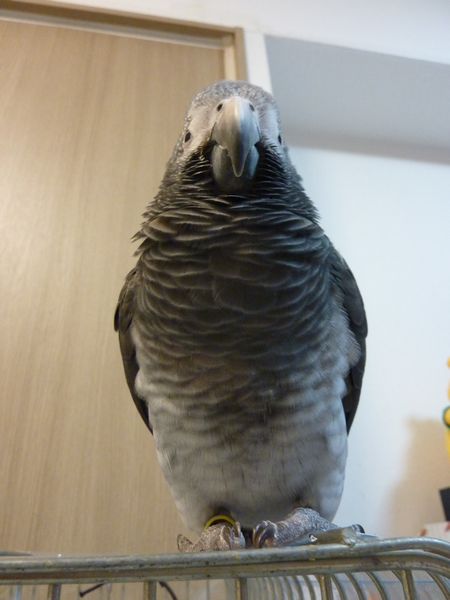 2010-1214-1.JPG
